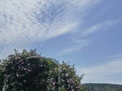 -龙寺生态园