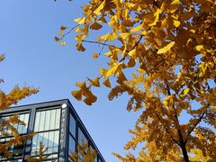 -北京师范大学邱季端体育馆