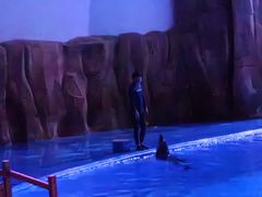 -华夏文旅海洋公园