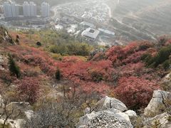 -博山九龙峪风景区