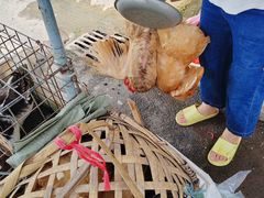 -永汉农贸综合市场