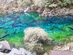 -叠溪松坪沟景区