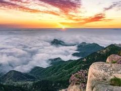 -泰山风景名胜区