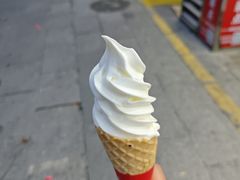 -大湾区中央湿地公园