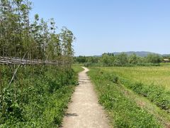 -良渚古城遗址公园