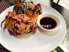 -339旋转餐厅(天府熊猫塔店)