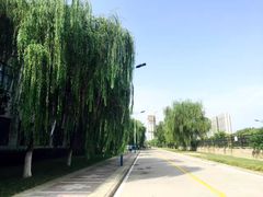 -长安大学(北校区)