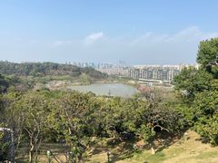 -飞凤山奥体公园