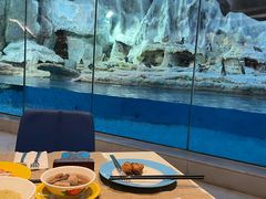 -帝企鹅自助餐厅•儿童岛•真企鹅(长隆企鹅酒店)