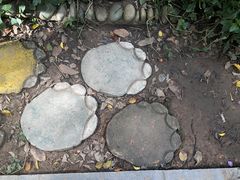 -野象谷景区