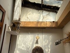 -Ginko银子(青龙街店)