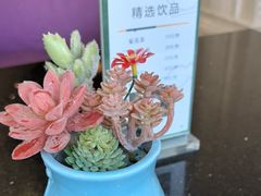 -金泽大酒店·卢塞恩餐厅·年夜饭春节连市