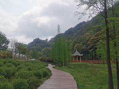 -广州市石门国家森林公园
