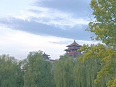 -莲花池公园