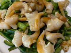 黄瓜炒鸟贝-味莊·青岛菜(云霄路店)