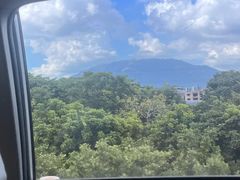-满記土窑烧鷄波浪山莊
