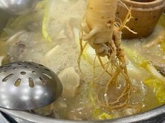-朴小妹人参鸡汤火锅(长白山万达店)