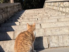 -四门塔风景区