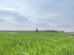 -宁波杭州湾国家湿地公园