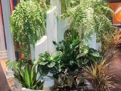 -半秋山西餐厅(巴南万达广场店)