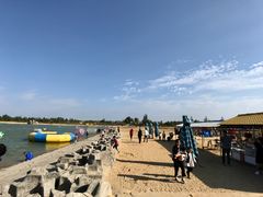 -泗洪洪泽湖湿地景区