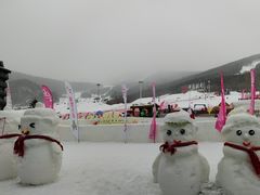 -中旅松花湖滑雪场