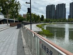 -金沙湖公园
