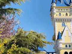 -青岛方特梦幻王国