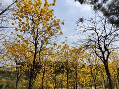 -中国移动南方基地