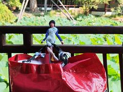 -上海醉白池公园