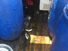 -海上驿站渔家菜馆