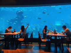 -海棠湾洲际-涛·海底餐厅·美人鱼·自助餐·海底隧道