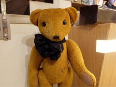 -济州岛泰迪熊博物馆