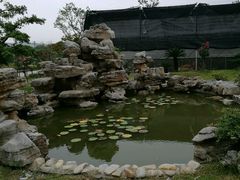 -呼吸森林·生态农庄农家乐私房菜