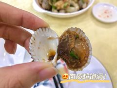生腌血蛤-惠来大排档(联创商业街店)