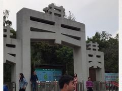 -宋井风景区