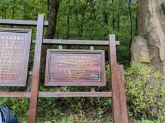 -五女峰国家森林公园