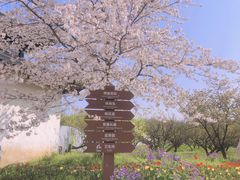 -苏州上方山国家森林公园