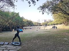 -广州雕塑公园