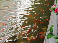 -兴芮温泉度假区