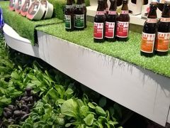 -王家渡火锅店(棕榈泉店)