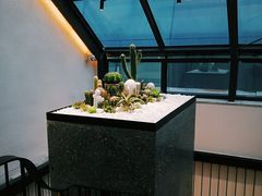 -大树餐厅(红旗街万达店)