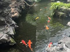 -广州白天鹅宾馆