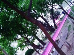 -枫花园汽车电影院(朝阳公园店)