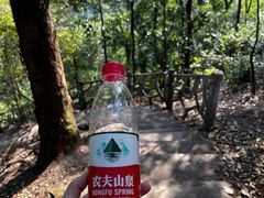 -滴水岩森林公园