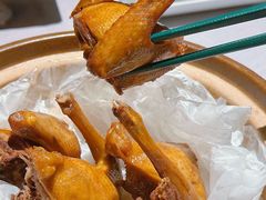 -大鸽饭(岗顶店)