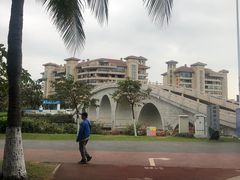 -万绿园