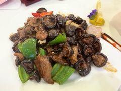 蚝油鲜菇炒安格斯牛肉-渔民新村(番禺总店)