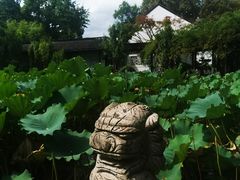 -上海醉白池公园