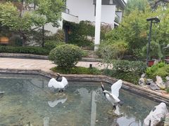 -广富林宰相府酒店·水云间